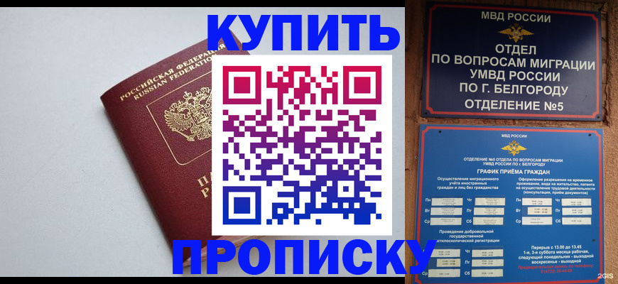 прописка регистрация в Могочи